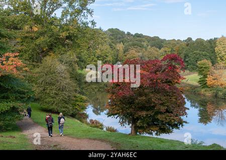 Herbstfarben im Winkworth Arboretum, Surrey, England, Großbritannien. Blick auf die Besucher am See mit farbenfrohen Acerbäumen im Oktober Stockfoto