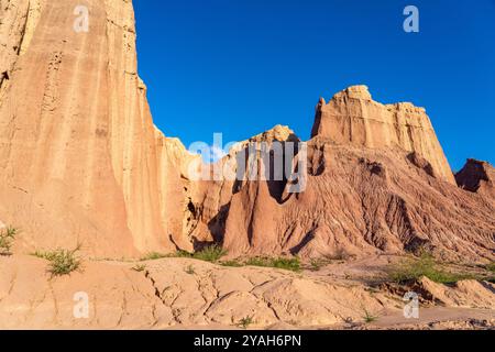 Erodierte geologische Formationen in der Quebrada de Cafayate im Calchaqui-Tal Argentiniens. Auch Quebrada de las Conchas genannt. Stockfoto