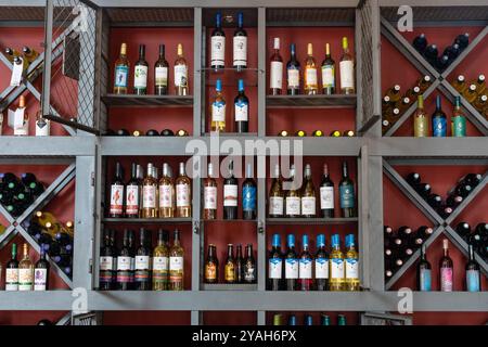 Lokale Weine aus Cafayate zum Verkauf im Shop im Museo de la Vid y el Vino in Cafayate, Argentinien. Stockfoto