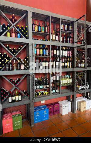 Lokale Weine aus Cafayate zum Verkauf im Shop im Museo de la Vid y el Vino in Cafayate, Argentinien. Stockfoto