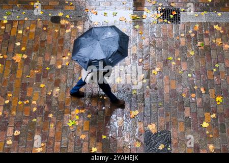 London, Großbritannien. Oktober 2024. Wetter in Großbritannien: Regen in London. Quelle: Matthew Chattle/Alamy Live News Stockfoto