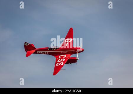 De Havilland DH.88 Comet "G-ACSS" , Old Warden Airfield, Biggleswade, Bedfordshire, England, UK Stockfoto