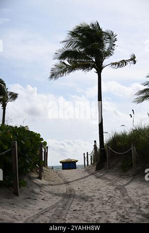 South Beach miami und Ocean Drive Avenue Stockfoto