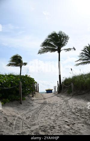 South Beach miami und Ocean Drive Avenue Stockfoto