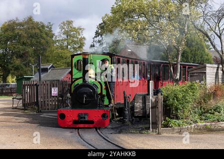 Bressingham Steam Museum & Gardens, wo zunächst riesige elektrische Pylonen entlang der Wortham Ling SSSI errichtet wurden, ein beliebtes Naturgebiet. Stockfoto