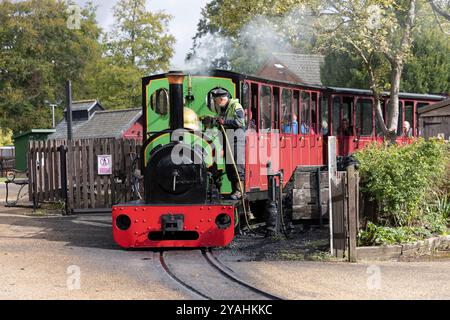 Bressingham Steam Museum & Gardens, wo zunächst riesige elektrische Pylonen entlang der Wortham Ling SSSI errichtet wurden, ein beliebtes Naturgebiet. Stockfoto