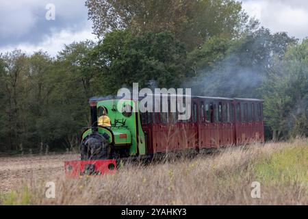 Bressingham Steam Museum & Gardens, wo zunächst riesige elektrische Pylonen entlang der Wortham Ling SSSI errichtet wurden, ein beliebtes Naturgebiet. Stockfoto