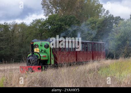 Bressingham Steam Museum & Gardens, wo zunächst riesige elektrische Pylonen entlang der Wortham Ling SSSI errichtet wurden, ein beliebtes Naturgebiet. Stockfoto