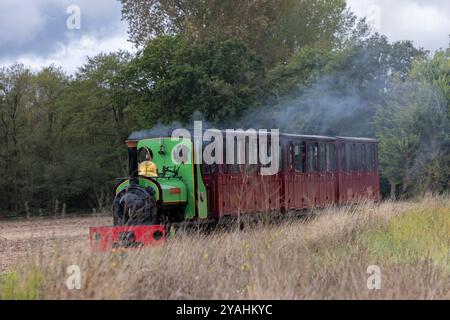 Bressingham Steam Museum & Gardens, wo zunächst riesige elektrische Pylonen entlang der Wortham Ling SSSI errichtet wurden, ein beliebtes Naturgebiet. Stockfoto