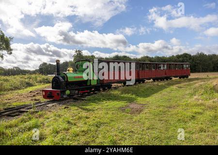 Bressingham Steam Museum & Gardens, wo zunächst riesige elektrische Pylonen entlang der Wortham Ling SSSI errichtet wurden, ein beliebtes Naturgebiet. Stockfoto