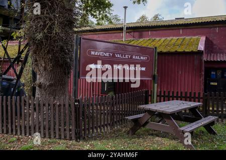 Bressingham Steam Museum & Gardens, wo zunächst riesige elektrische Pylonen entlang der Wortham Ling SSSI errichtet wurden, ein beliebtes Naturgebiet. Stockfoto