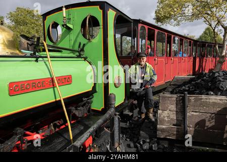 Bressingham Steam Museum & Gardens, wo zunächst riesige elektrische Pylonen entlang der Wortham Ling SSSI errichtet wurden, ein beliebtes Naturgebiet. Stockfoto