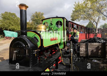 Bressingham Steam Museum & Gardens, wo zunächst riesige elektrische Pylonen entlang der Wortham Ling SSSI errichtet wurden, ein beliebtes Naturgebiet. Stockfoto