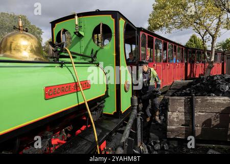 Bressingham Steam Museum & Gardens, wo zunächst riesige elektrische Pylonen entlang der Wortham Ling SSSI errichtet wurden, ein beliebtes Naturgebiet. Stockfoto