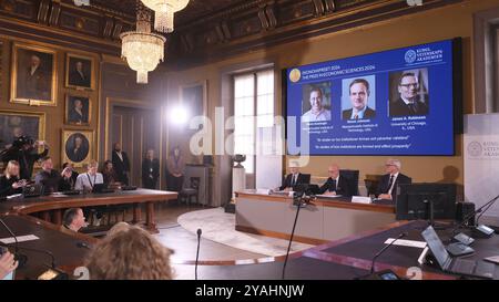 Stockholm, Schweden. Oktober 2024. Der Nobelpreis für Wirtschaft 2024 wird am 14. Oktober 2024 in Stockholm, Schweden, bekannt gegeben. Die Königlich Schwedische Akademie der Wissenschaften beschloss am Montag, den Sveriges Riksbank-Preis 2024 in Wirtschaftswissenschaften zu Ehren von Alfred Nobel an Daron Acemoglu, Simon Johnson und James A. Robinson zu vergeben. Quelle: Xinhua/Alamy Live News Stockfoto