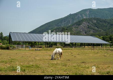 28.06.2024, Frankreich, Hautes-Alpes, Provence-Alpes-Cote d'Azur, Veynes - Pferd weidet vor einer Photovoltaikanlage auf einer Almwiesen in den Alpen. 00A240 Stockfoto