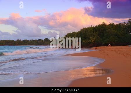 Guadeloupe Sandstrand Sonnenuntergang Licht. Karibische Urlaubslandschaft. Strand von Clugny (Plage de Clugny). Stockfoto