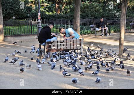 BARCELONA, SPANIEN - 7. OKTOBER 2021: Touristen füttern Wildtauben in einem öffentlichen Park in Barcelona, Spanien. Stockfoto