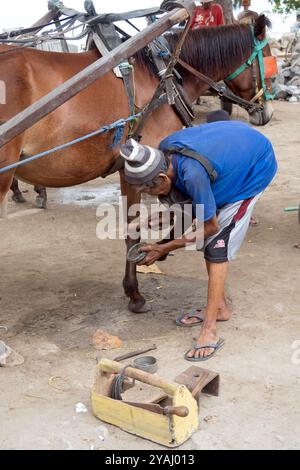 09.11.2023, Indonesien, Lombok, Gili Trawangan - Mann, der das Pferd eines Pferdetaxs schleudert. 00S231109D317CAROEX.JPG [MODELLVERSION: NEIN, EIGENSCHAFTSRELE Stockfoto