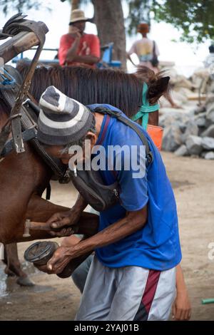 09.11.2023, Indonesien, Lombok, Gili Trawangan - Mann, der das Pferd eines Pferdetaxs schleudert. 00S231109D319CAROEX.JPG [MODELLVERSION: NEIN, EIGENSCHAFTSRELE Stockfoto