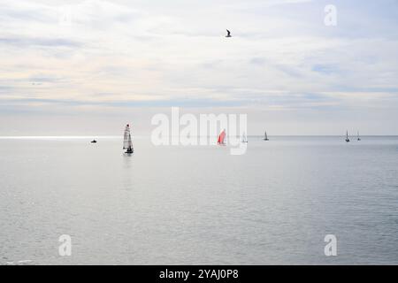 Segeln am frühen Morgen Stockfoto