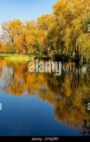 Sonniger Herbst im Park. Herbstlandschaft mit farbenfrohen Tressen und Reflexionen in einem Teich. Muchowiec, Kattowitz, Schlesien, Polen Stockfoto