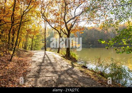 Sonniger Herbst im Park. Straße in der Nähe des Sees. Muchowiec, Kattowitz, Schlesien, Polen Stockfoto