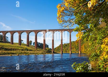 Leaderfoot Viaduct, in der Nähe von Melrose, Schottland, Großbritannien. Herbstszene über dem Fluss Tweed in der schottischen Grenze, Leaderfoot Viaduct ist auch bekannt als Drygrange Viaduct. Temperasture begann etwa zwei Dedrees mit leichtem Frost und stieg am legeneren Nachmittag auf etwa 11 Grad an. Quelle: Archwhite/Alamy Live News. Stockfoto