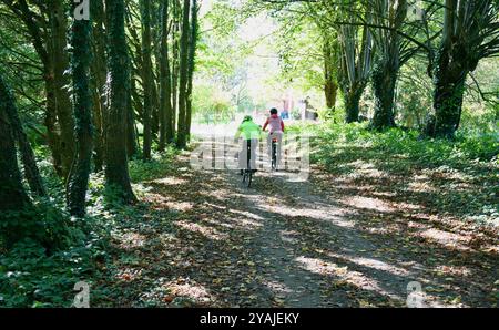 Radfahrer in der Normandie-Landschaft, Nordwestfrankreich, Europa Stockfoto