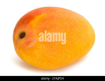 Mango-Frucht isoliert auf weißem Hintergrund Stockfoto