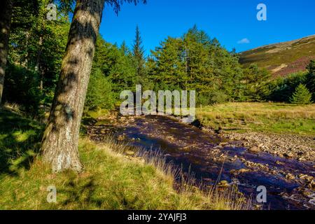 Der River Derwent bei Slippery Stones im Upper Derwent Valley im Peak District National Park, Großbritannien Stockfoto