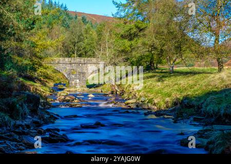 Der River Derwent bei Slippery Stones im Upper Derwent Valley im Peak District National Park, Großbritannien Stockfoto