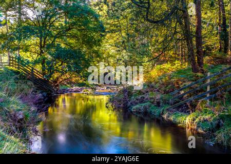 Der River Derwent bei Slippery Stones im Upper Derwent Valley im Peak District National Park, Großbritannien Stockfoto