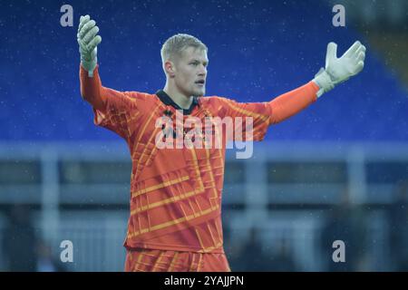 Während der vierten Qualifikationsrunde des FA Cup zwischen Hartlepool United und Brackley Town im Victoria Park, Hartlepool am Samstag, den 12. Oktober 2024. (Foto: Scott Llewellyn | MI News) Credit: MI News & Sport /Alamy Live News Stockfoto