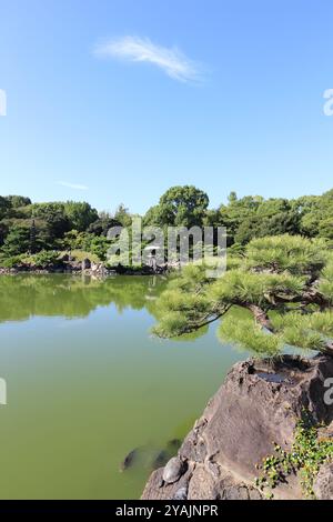 Sonnenbadschildkröte am Dai-Sensui-Teich im Kiyosumi-Garten, Tokio, Japan Stockfoto