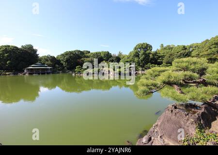 Sonnenbadschildkröte am Dai-Sensui-Teich im Kiyosumi-Garten, Tokio, Japan Stockfoto