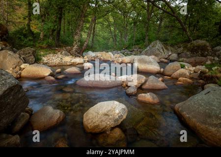 Große runde Steine in einem Fluss zwischen Bäumen mit langer Exposition an einem bewölkten Tag bei schwachem Licht Stockfoto