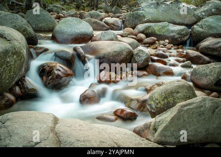 Große runde Steine in einem Fluss zwischen Bäumen mit langer Exposition an einem bewölkten Tag bei schwachem Licht Stockfoto