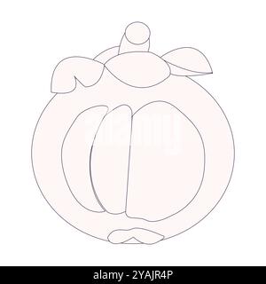 Einfache Mangostanfrucht-Skizze, minimalistische Umrisse von Mangostanfrucht, ganze Früchte und andere Hälfte. Ideal für Illustrationen und Lehrmaterialien Stock Vektor