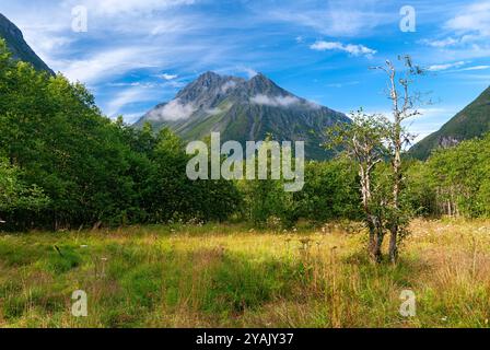 Ein atemberaubender Blick offenbart einen gewaltigen Berg, der von Wolken umgeben ist, umgeben von üppigen Bäumen und lebendigem Gras unter einem klaren blauen Himmel. Stockfoto