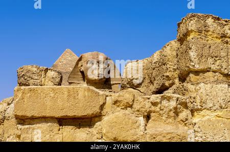Große Sphinx von Gizeh in Ägypten Stockfoto