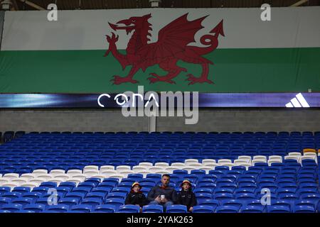 Cardiff, Großbritannien. Oktober 2024. Walisische Fans beim Spiel der UEFA Nations League im Cardiff City Stadium. Der Bildnachweis sollte lauten: Darren Staples/Sportimage Credit: Sportimage Ltd/Alamy Live News Stockfoto