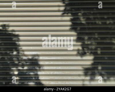 Das zauberhafte Spiel der Baumschatten an Garagentoren. Eine Studie über natürliche Muster und ästhetischen Appeal. Stockfoto