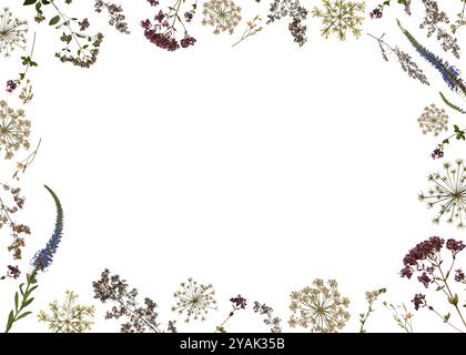 Rahmen aus getrockneten Wildblumen und Kräutern isoliert auf weiß. Perfekt für die Erstellung botanischer Karten, Hochzeitseinladungen, Rahmen, Designs. Stockfoto