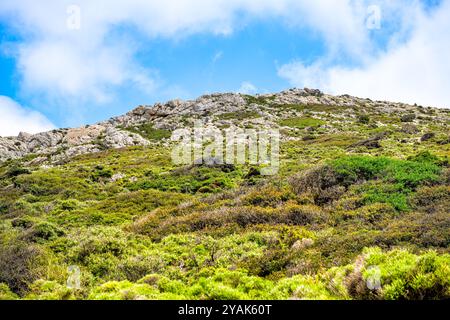 Berge, sanfte Hügel in der Nähe von Färöern auf der Insel Ikaria in Griechenland mit wilden Sträuchern, die auf Klippen wachsen, mit Blick auf die flache Naturlandschaft Stockfoto