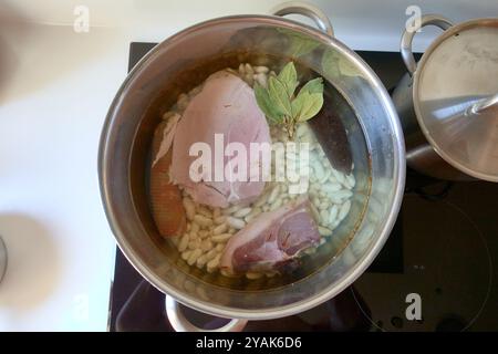 Ein Edelstahltopf auf einem Kochfeld mit Wasser, weißen Bohnen, einem Stück Schinken, Chorizo, Blutwurst, ein Lorbeerblatt und ein großes Stück Schweineschulter, Re Stockfoto