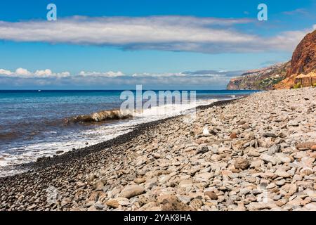 Gull saß an einem Kiesstrand zwischen Ponta do Sol und Madalena do Mar, Madeira, Portugal Stockfoto