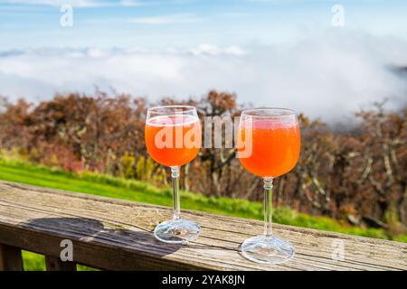 Zwei Gläser italienische Getränkeflasche mit kohlensäurehaltigem Blut, Orange Grapefruit Limonade, Blue Ridge Mountains im Wintergreen Resort, Virginia Stockfoto