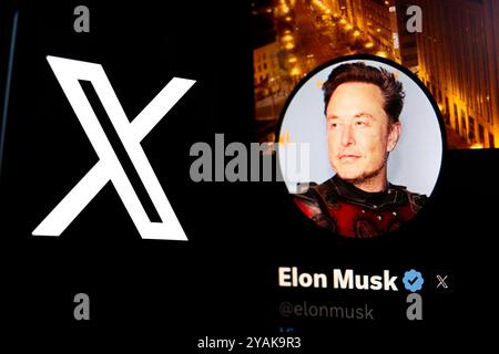 16. Juli 2024, Paraguay. In dieser Abbildung wird das X (Twitter)-Logo auf einem Smartphone angezeigt. Im Hintergrund das offizielle Profil von E Stockfoto