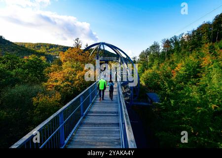 Baumwipfelpfad Bad Harzburg Blick am 11. Oktober 2024 auf dem Baumwipfelpfad Bad Harzburg im Harz. Bad Harzburg Niedersachsen Deutschland  JK19466 *** Baumwipfelweg Bad Harzburg Ansicht am 11. Oktober 2024 auf dem Baumwipfelweg Bad Harzburg im Harz Bad Harzburg Niedersachsen Deutschland JK19466 Stockfoto